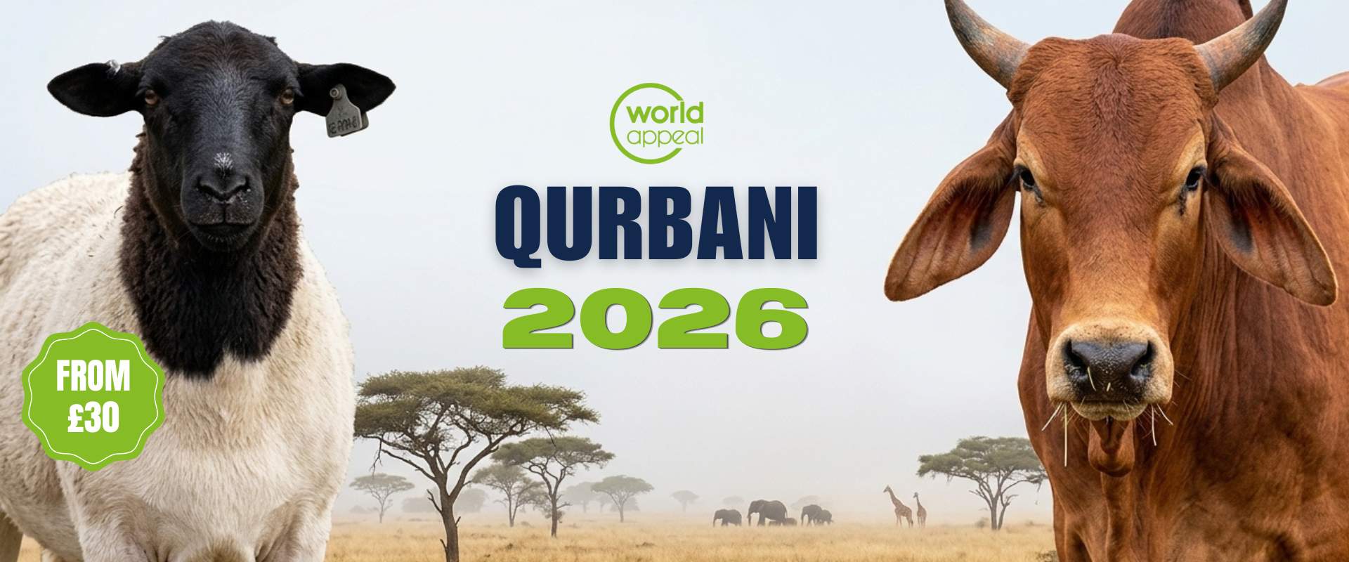 Qurbani 2026 campaign