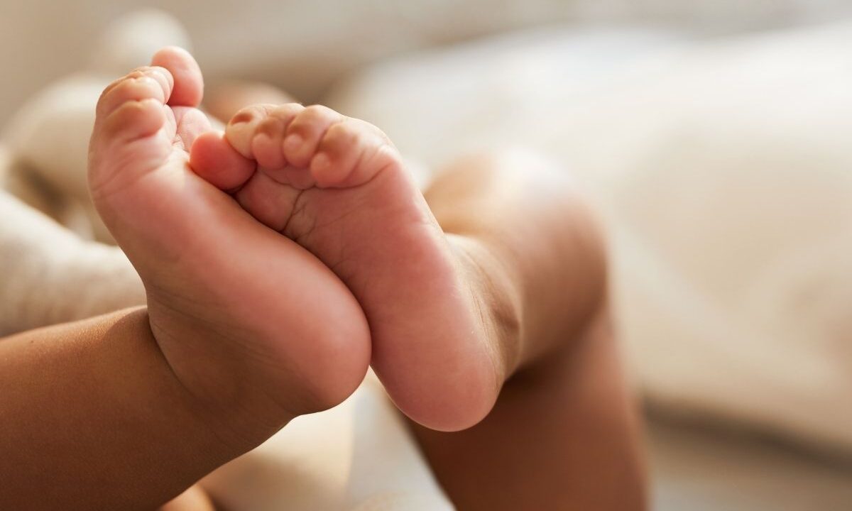 What a 35-Square-Metre Building Can Do