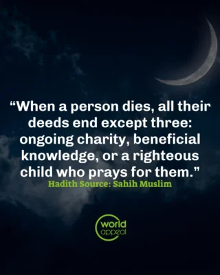 Instagram post from worldappealofficial. This post is in position 1.