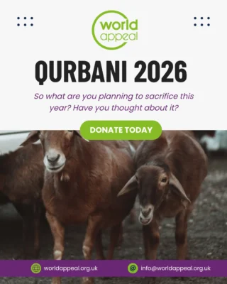 Instagram post from worldappealofficial. This post is in position 1.