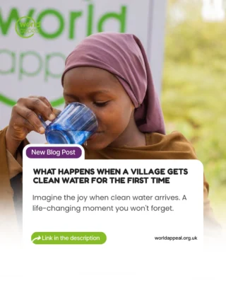 Instagram post from worldappealofficial. This post is in position 3.