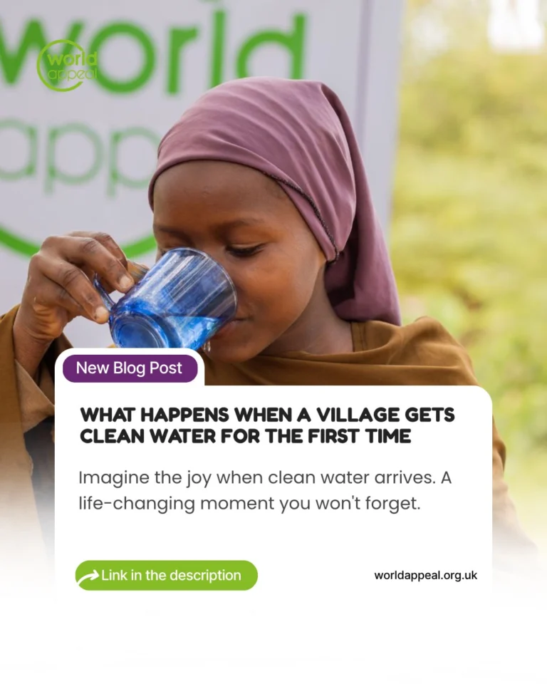 Instagram post from worldappealofficial. This post is in position 2.