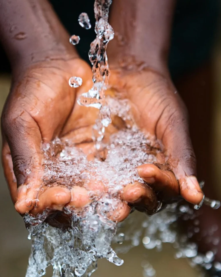 Instagram post from worldappealofficial. This post is in position 5.