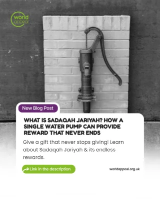 Instagram post from worldappealofficial. This post is in position 1.