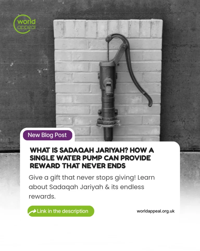 Instagram post from worldappealofficial. This post is in position 0.