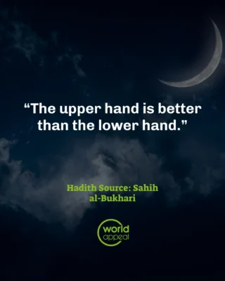 Instagram post from worldappealofficial. This post is in position 1.