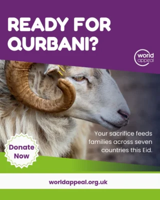 Instagram post from worldappealofficial. This post is in position 2.