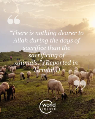 Instagram post from worldappealofficial. This post is in position 1.