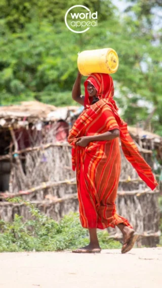 Instagram post from worldappealofficial. This post is in position 1.