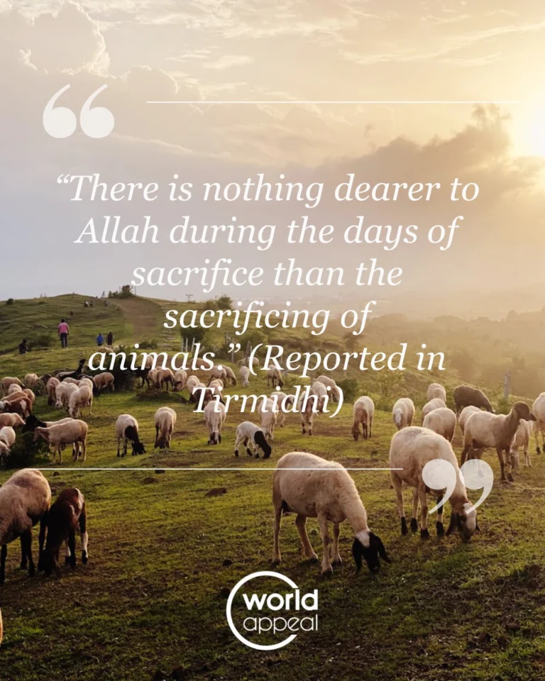 Instagram post from worldappealofficial. This post is in position 1.