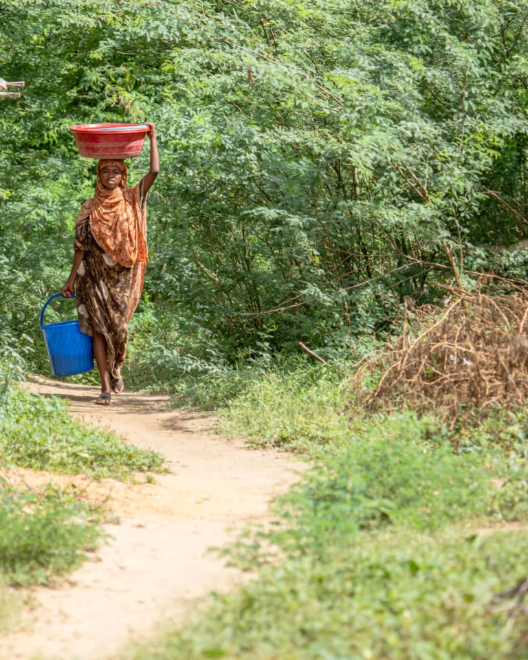 Instagram post from worldappealofficial. This post is in position 2.