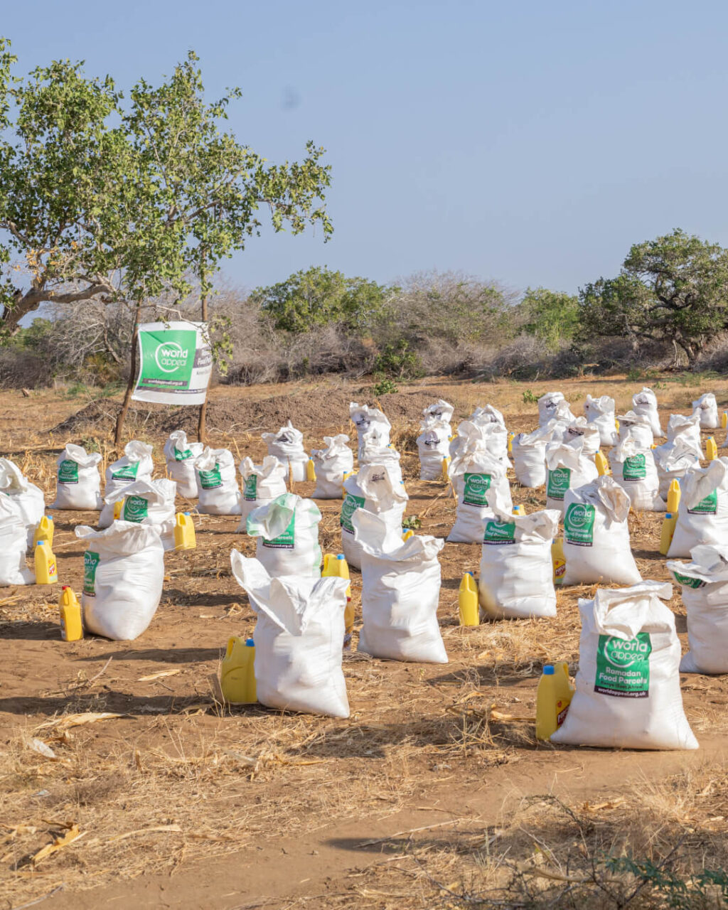 Instagram post from worldappealofficial. This post is in position 2.