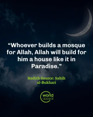 Instagram post from worldappealofficial. This post is in position 1.