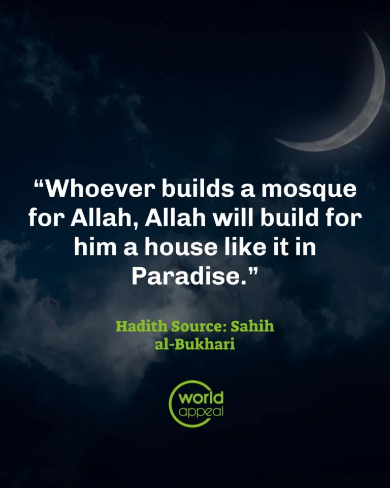 Instagram post from worldappealofficial. This post is in position 0.