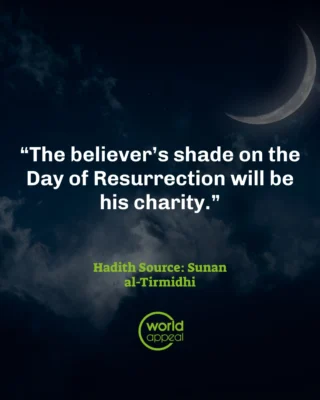 Instagram post from worldappealofficial. This post is in position 1.