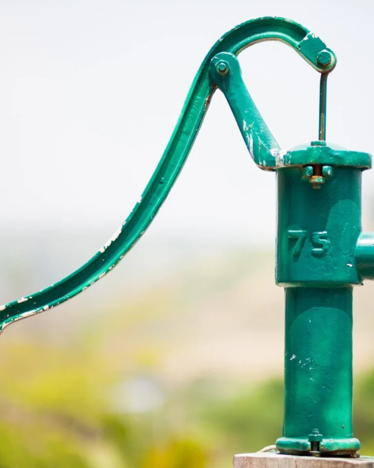 Instagram post from worldappealofficial. This post is in position 3.