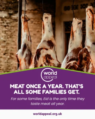 Instagram post from worldappealofficial. This post is in position 3.